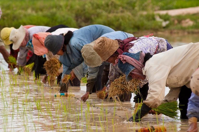 Developing World Entrepreneurial Issues Don't Faze this Cambodian